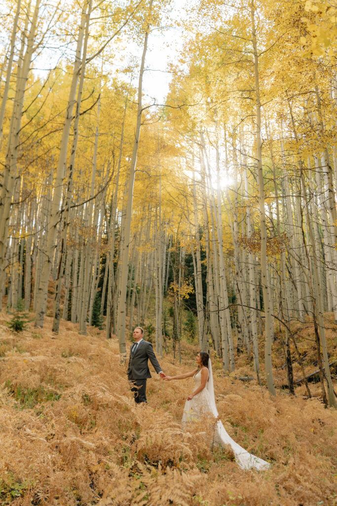 Crested Butte Fall Color Elopement