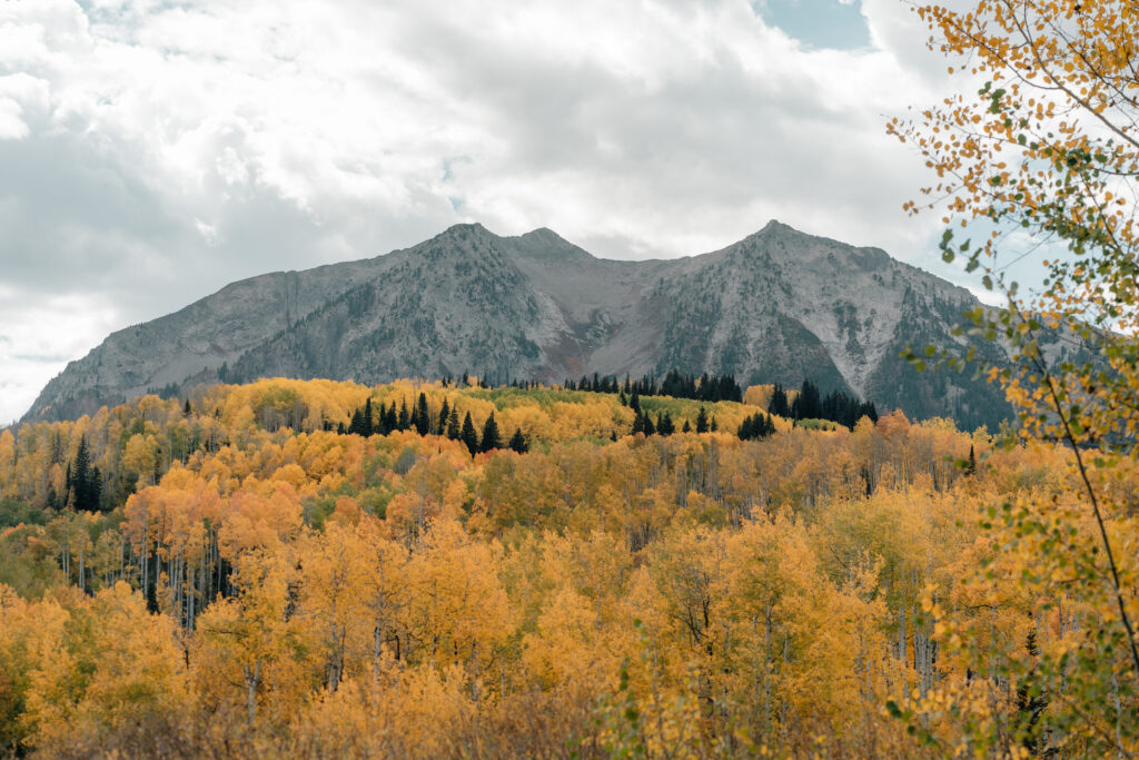 Crested Butte Kebler Pass Elopement