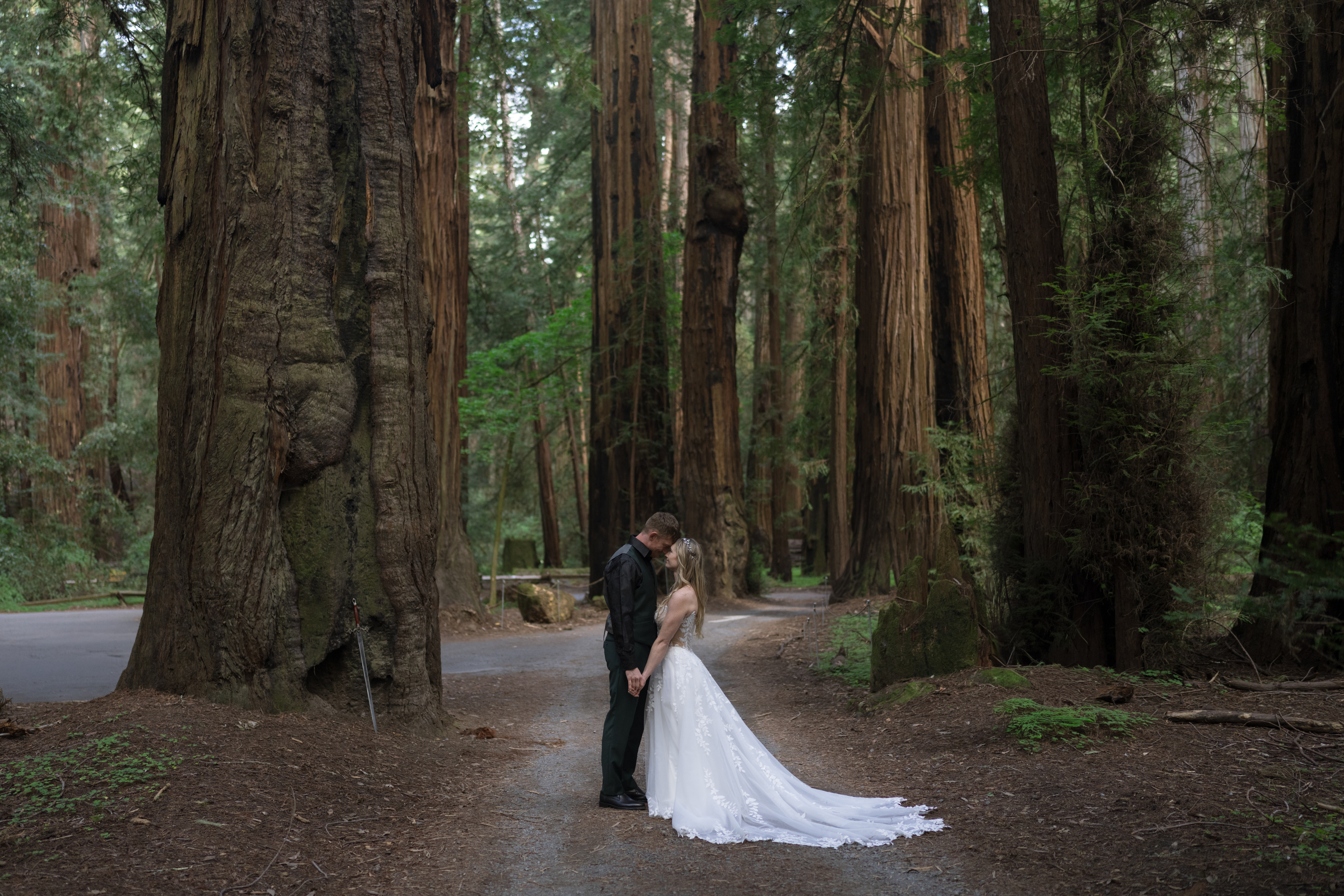 Wedding in Guerneville, Couple in Forest